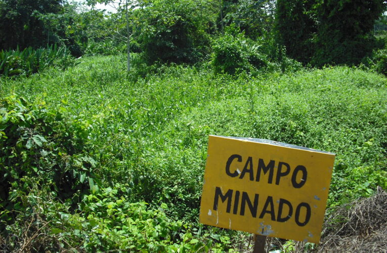 Ejército desenterró más de 100 minas en Apure