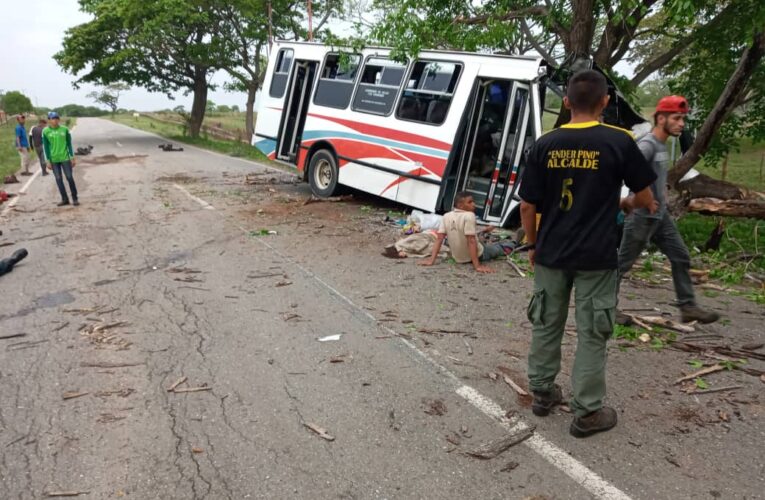 3 muertos y 15 heridos en choque de bus contra un árbol