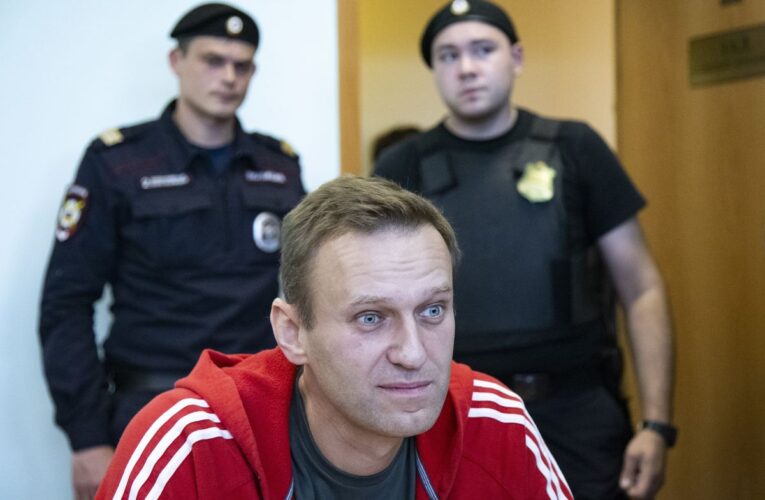 Alexei Navalny se declara en huelga de hambre