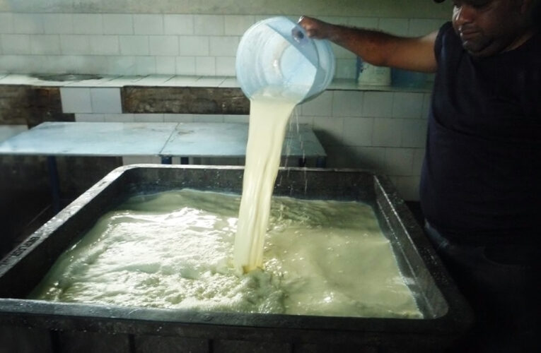 Fedenaga: En las alcabalas perdemos hasta 160 kilos de queso