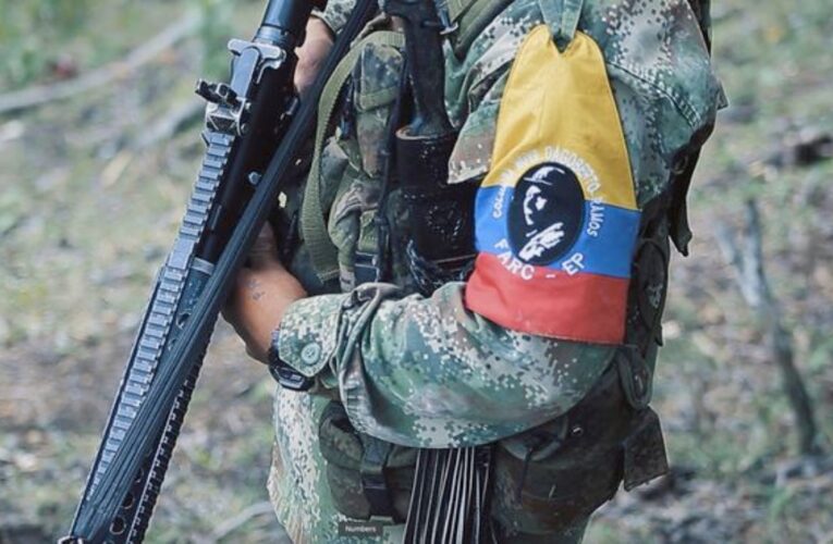 Cabecilla de las FARC planeaba ataques a la policía en Cali