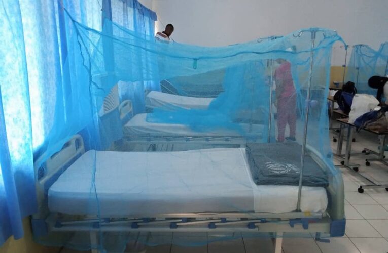 Reportan dos nuevos casos de malaria en Chuspa