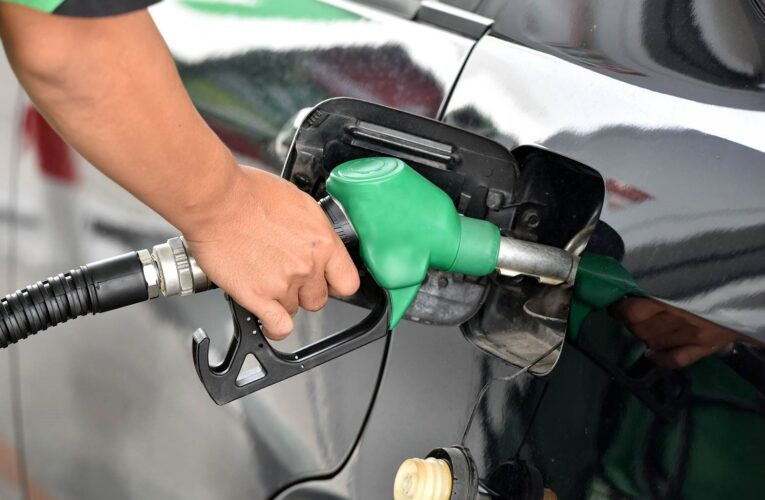 «Participación privada solucionaría escasez de combustible»