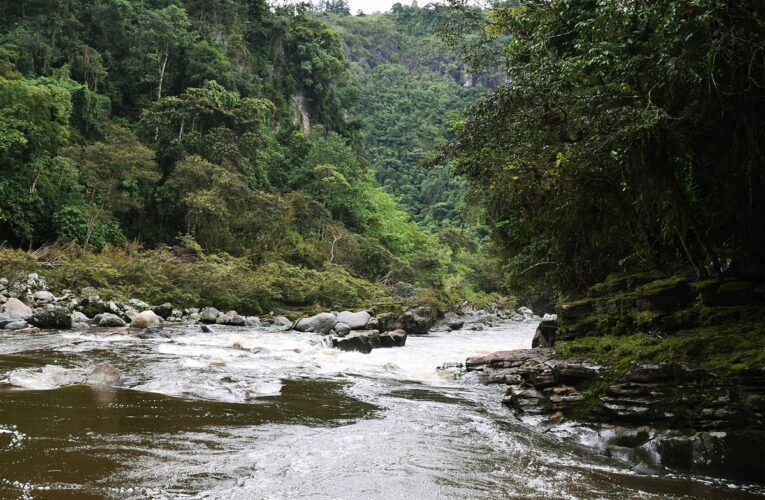 Hallan a venezolana muerta y maniatada en el río Magdalena