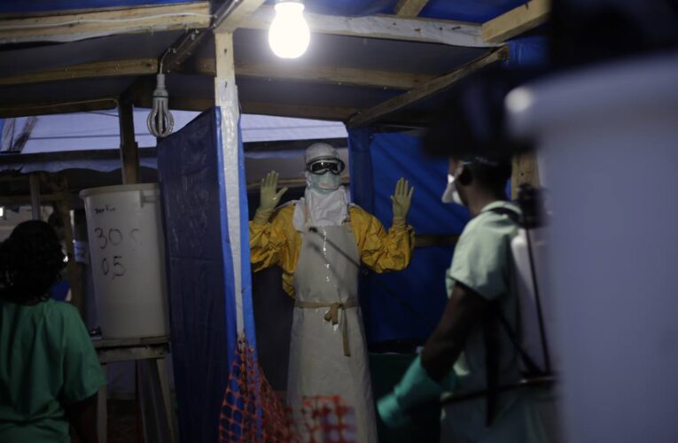 Marburgo: el nuevo virus “sumamente virulento” familia del ébola
