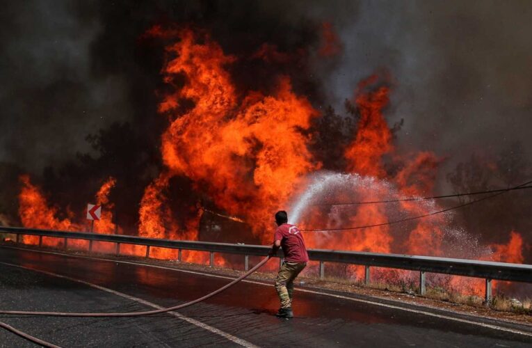 Incendios forestales dejan 8 muertos en Turquía