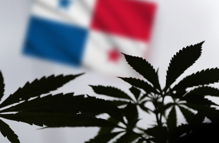 Asamblea de Panamá aprueba uso medicinal del cannabis
