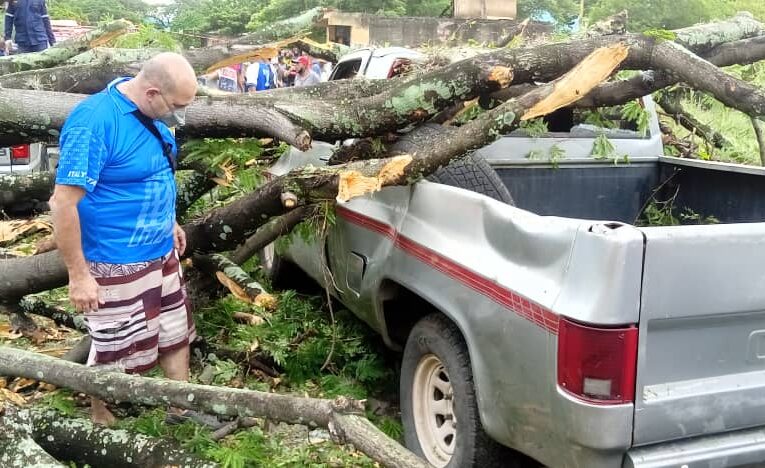 1 muerto y varios heridos al caer árbol en Guarenas