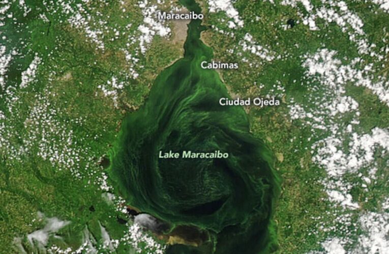 Fotos de la NASA evidencian grave contaminación en el lago de Maracaibo