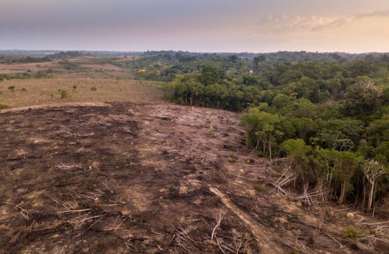 Jair Bolsonaro sobre deforestación del Amazonas: La misma bobada de siempre