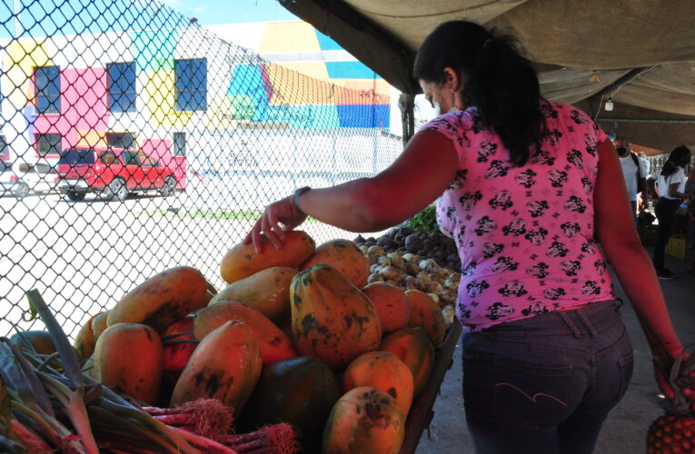 Para preparar dulce de lechosa hay que tener 18 bolívares