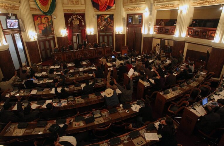 Cámara de Diputados de Bolivia derogó polémica ley que desató protestas
