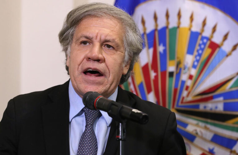 OEA: Ortega violó claramente la Carta Democrática