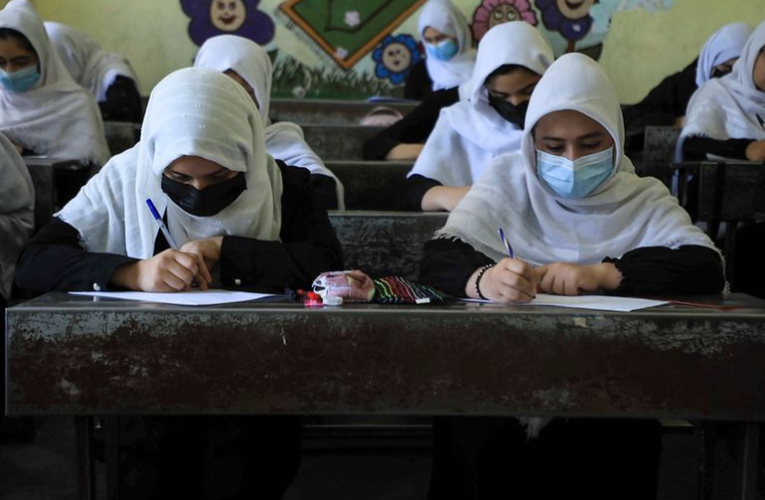 Talibanes aseguran que las niñas volverán a la escuela en el 2022