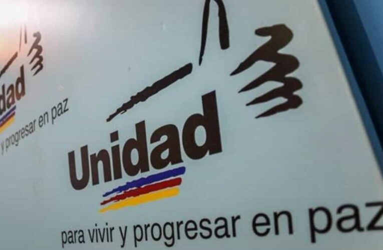 Votos en la tarjeta de la MUD a gobernador de Miranda «serán nulos»