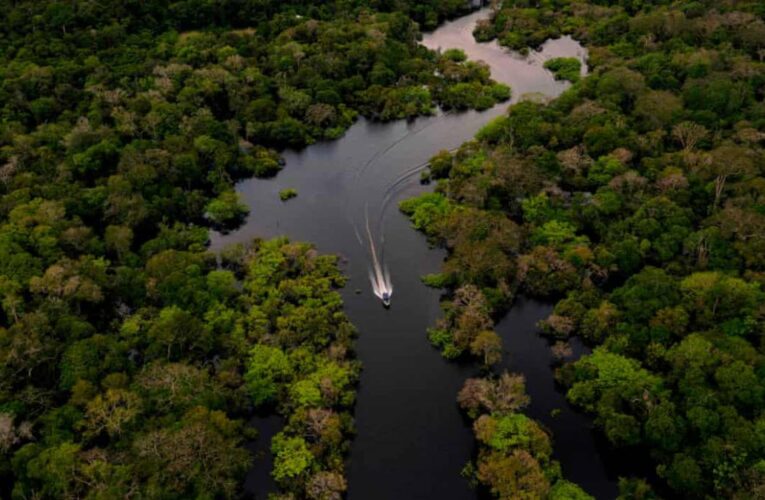 Elon Musk y Brasil negocian acuerdo para llevar internet al Amazonas