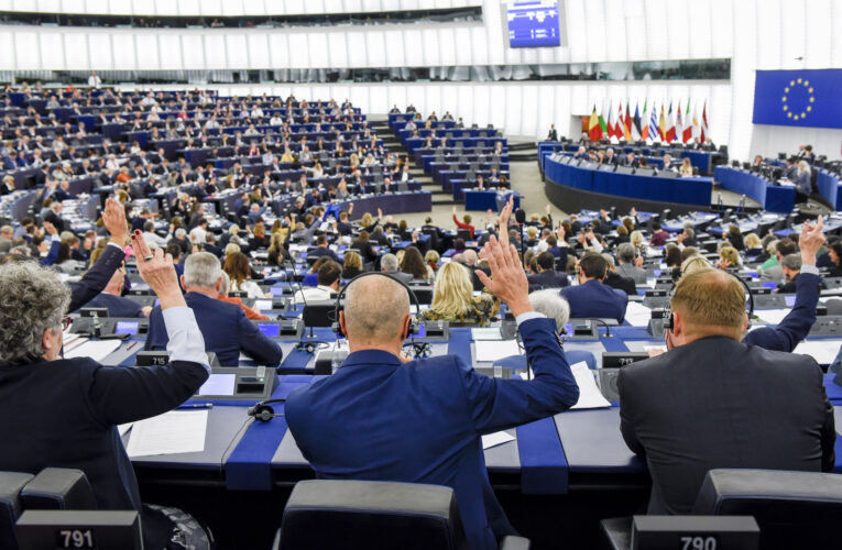 12 europarlamentarios vendrán a observar las elecciones del 21N