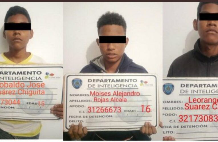 MP imputa a 3 adolescentes por quemar una gata en Monagas