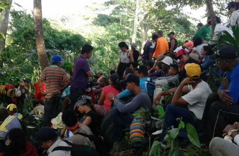 Más de 1.500 migrantes venezolanos cruzaron el Tapón del Darién en 2021