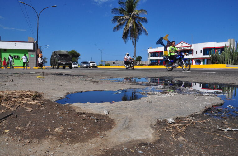 Megahueco comecauchos en Punta de Mulatos