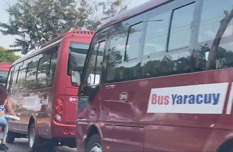 Reportan buses con votantes de otros estados en Barinas