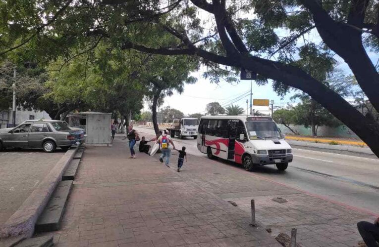 Desde este viernes choferes y colectores tendrán que portar el carnet