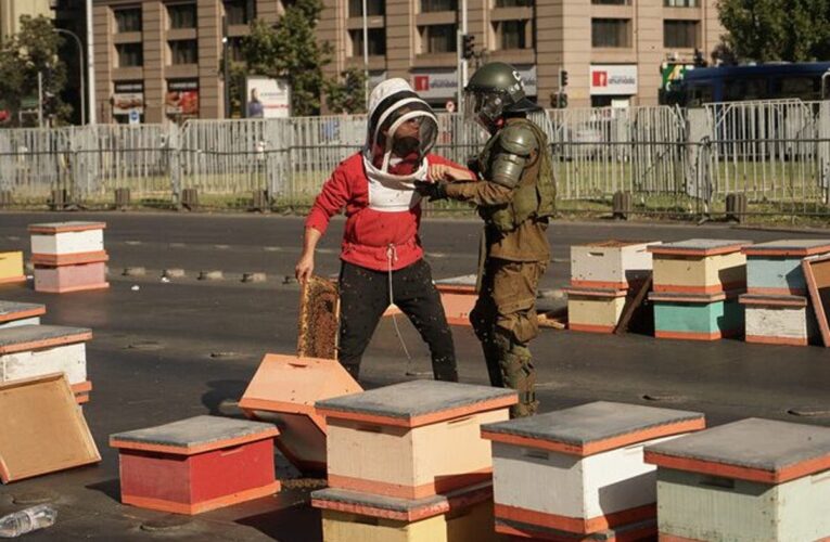Apicultores protestan dejando miles de abejas en el centro de Santiago
