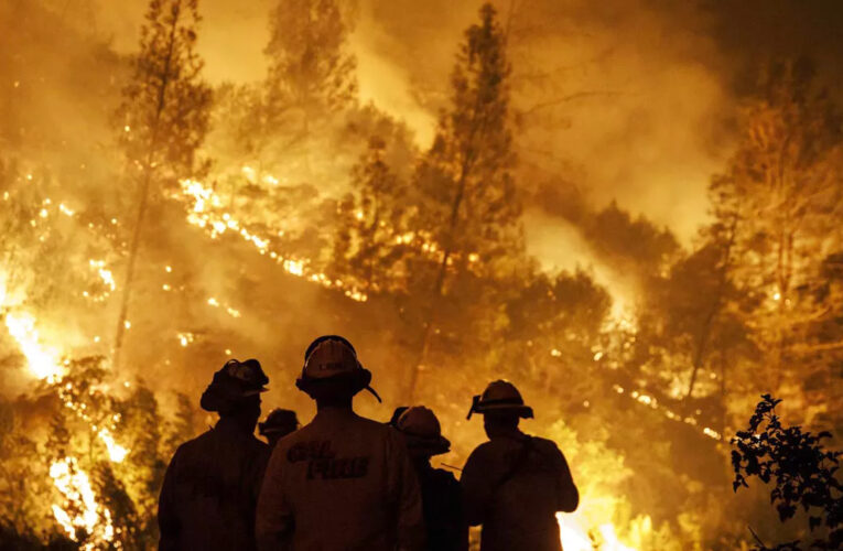 Argentina declara situación de emergencia por incendios forestales