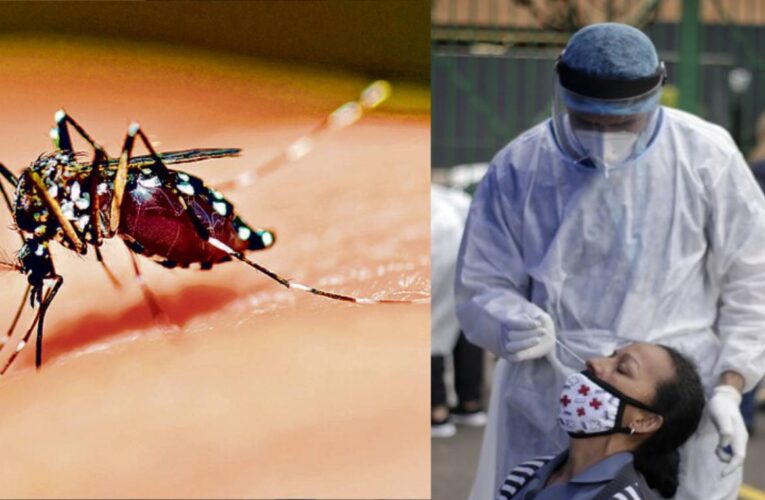 Coronadengue: Nueva infección simultánea que preocupa al mundo