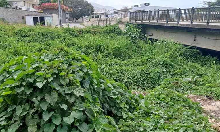 Vecinos reclaman limpieza de cauce del rio El Cojo