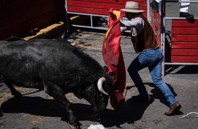 Toro embistió al público y dejó 15 heridos