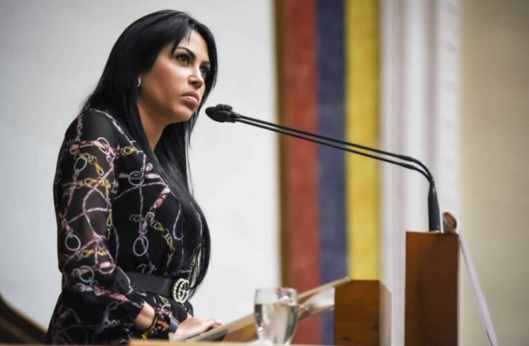 Delsa Solórzano aspira la Presidencia