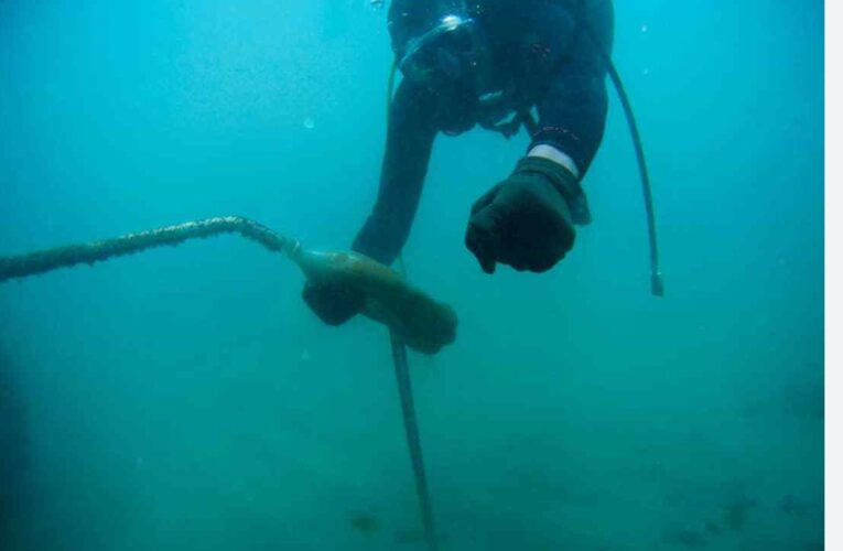 Buzos de La Guaira  promueven la limpieza subacuática