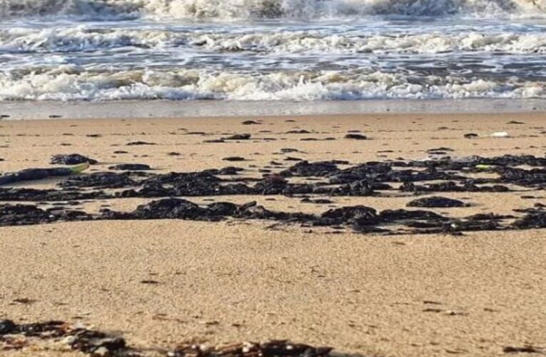 Nuevo derrame de petróleo en playas de Anzoátegui