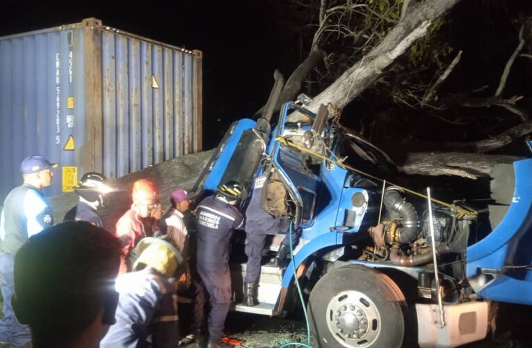 Gandolero murió aplastado por un árbol en Tanaguarena