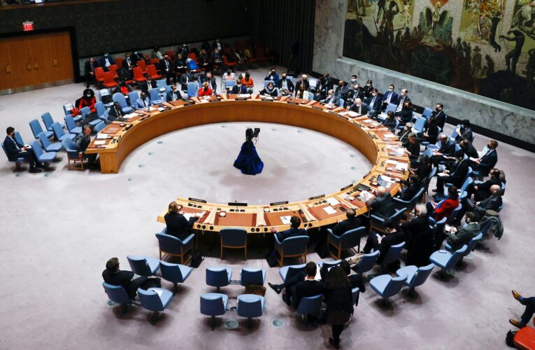 Consejo de Seguridad de la ONU con «profunda preocupación» por situación en Ucrania