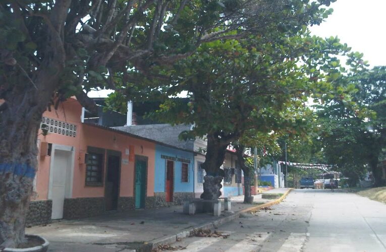 Vecinos de Chuspa y Punta Care pasan hasta 24 horas sin luz