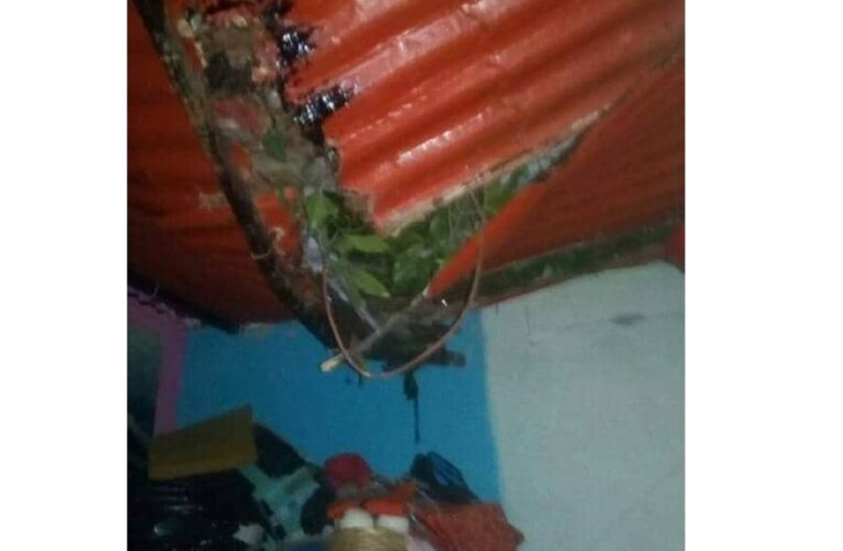 Árbol cae y destruye parte de una vivienda en Guanape II