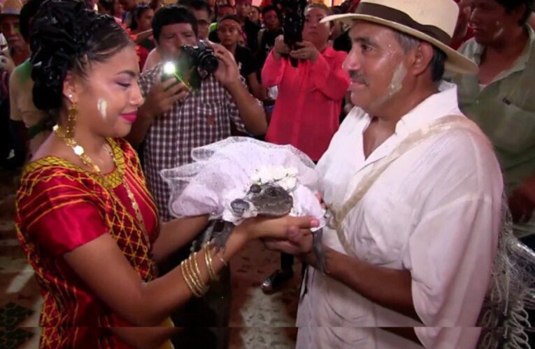 Alcalde mexicano se casa con un caimán