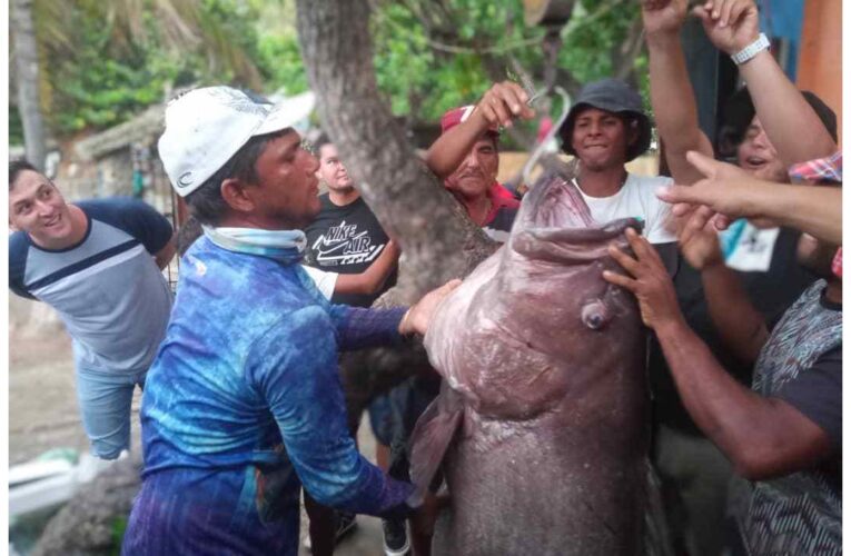Pescan mero de 60 kilos en Macuto