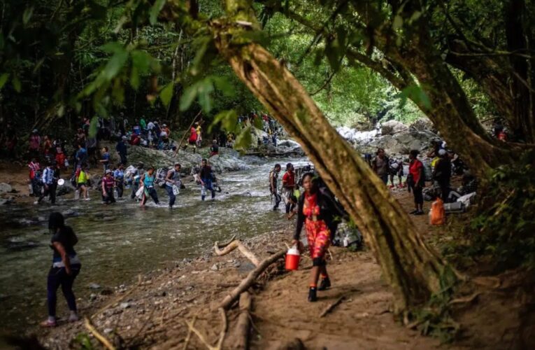 15% de migrantes que cruzan la selva del Darién sufre violencia sexual