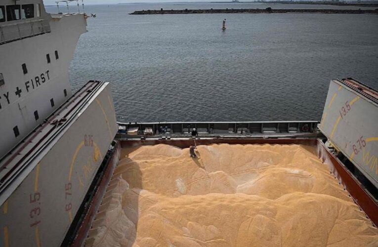 Ucrania comenzará a exportar cereal por mar esta semana