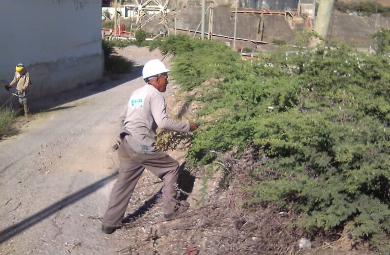 Corpoelec realiza limpieza en las subestaciones de La Guaira
