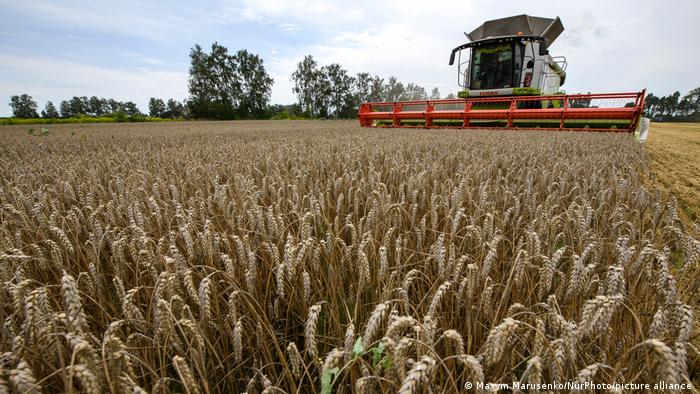 EEUU comprará trigo ucraniano para enviarlo a países pobres