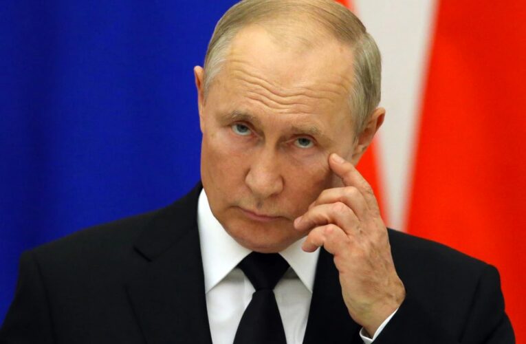 Putin ofreció armas a aliados para asegurar la paz en el mundo