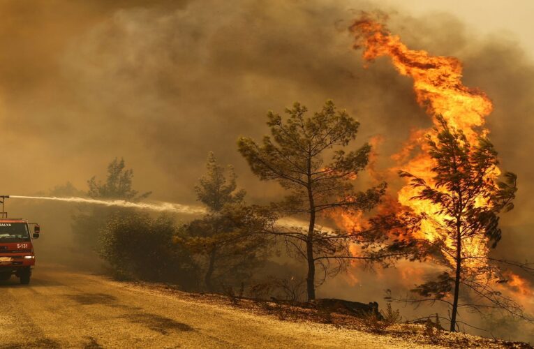 Masivas evacuaciones por incendios en California