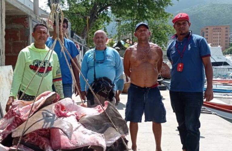 Conppa de Caraballeda donó 500 kilos de pescado a Las Tejerías