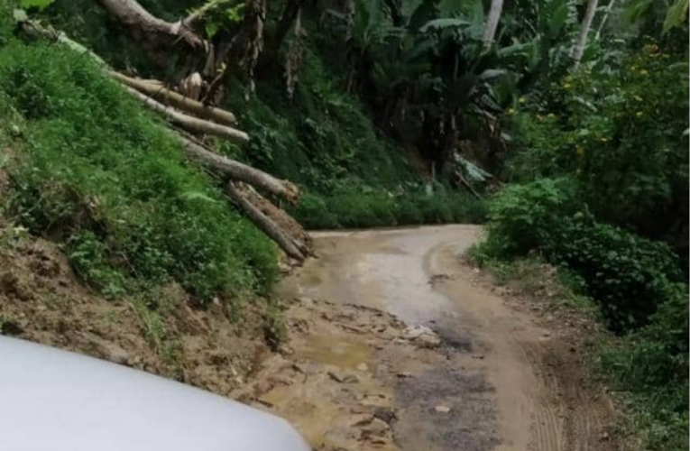 Piden un jumbo para rehabilitar vías en Puerto Cruz y Maya