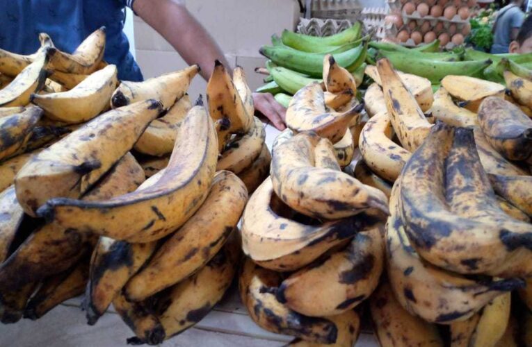 Pila de plátanos subió a 14 bolívares