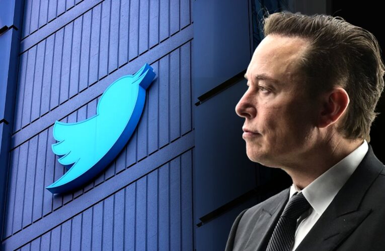 Elon Musk es el dueño de Twitter